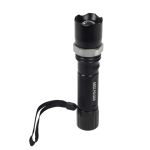 Lukturis LED BP-3920