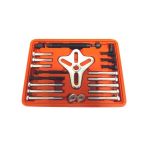 Puller set 30-100mm (46 pcs.)