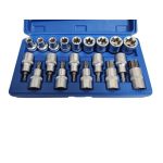 Gala atslēgu komplekts 1/2 Torx (19 gab)