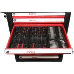 Tool cabinet ROOKS GARAGE with tools 170 pcs.