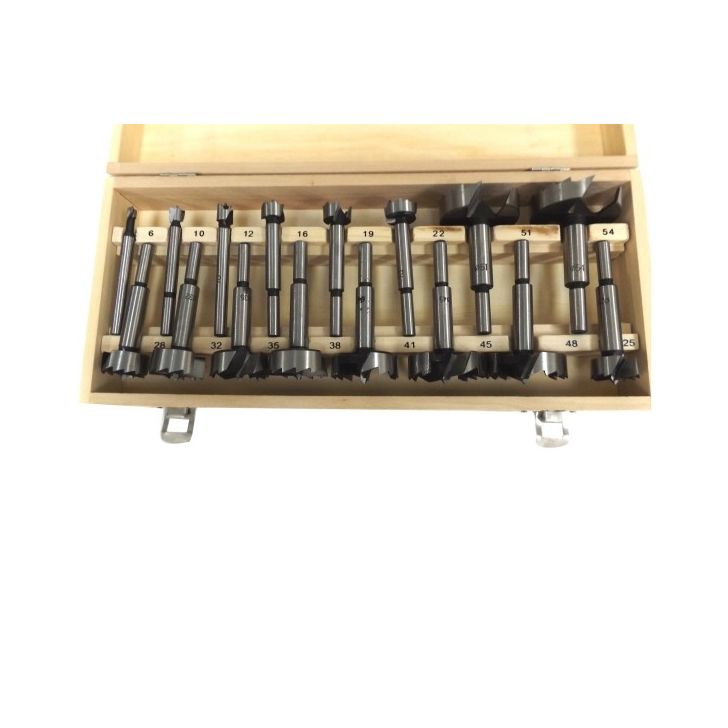 Forstner drill bits for wood (16 pcs) FT017001