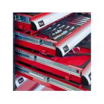 Pārvietojams instrumentu skapis ar instrumentiem 217 gab.