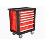 Pārvietojams instrumentu skapis ar instrumentiem 217 gab.