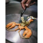 Foodini 3D printeris