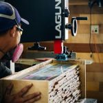 Professional band saw LAGUNA 1412