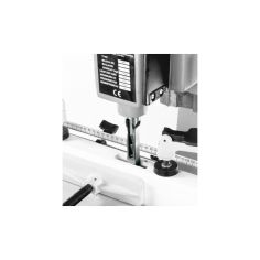 Добжурбис Bernardo