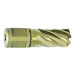 Kroņurbis GOLD-LINE 30 Weldon, Ø 13 mm