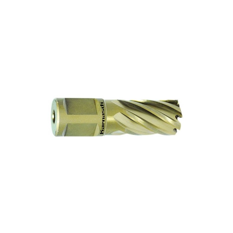 Kroņurbis GOLD-LINE 30 Weldon, Ø 13 mm