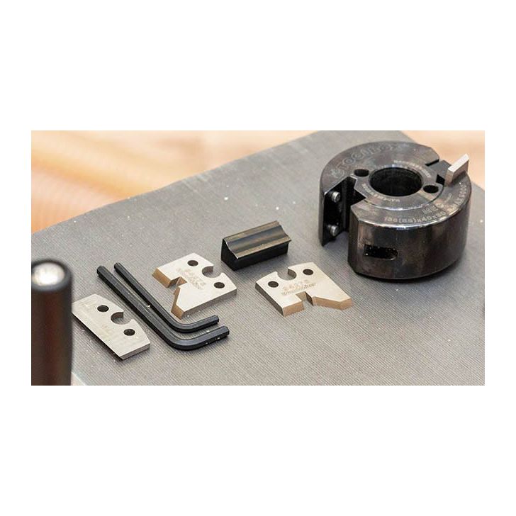 Kombinēta ēvele un biezumēvele Wood-Mizer MP220