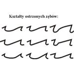 Универсальный ленточнопильно-зубогибочный станок ОС-2М