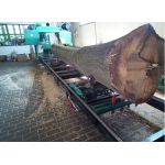 Horizontal band saw TTM-1100