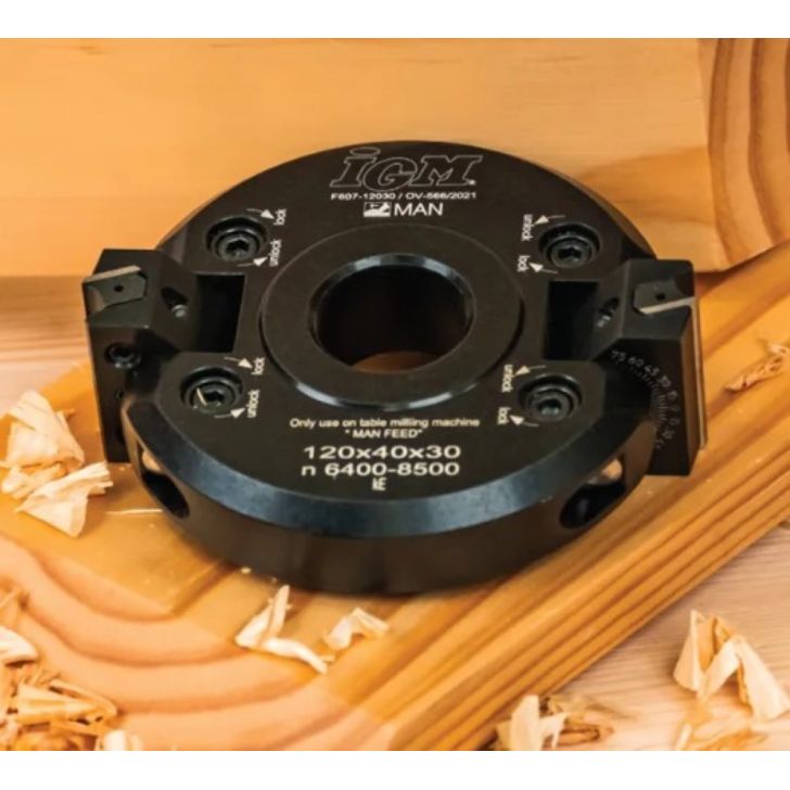 Frēzgalva +-45° MAN - D120x40 d30 Z2 ALU