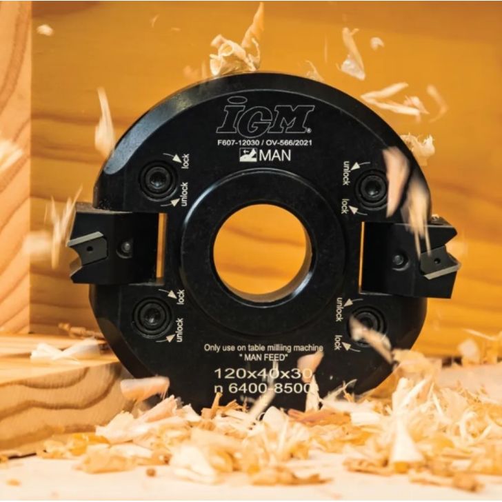 Frēzgalva +-45° MAN - D120x40 d30 Z2 ALU