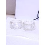 Monocure 3D Rapid FLEX100 Resin - 1 liter - Clear