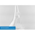 PrimaCreator™ EasyPrint FLEX 95A — 1,75 мм — 500 г — прозрачный