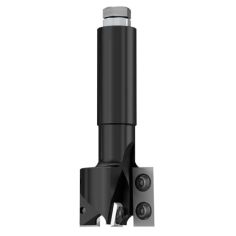 IGM F453 ножи с прямым погружным режущим концом TC - D40x29,5 L100 S-20 Z2+2