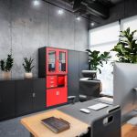 JAN NOWAK metāla biroja dokumentu skapis ar seifu FILIP: pelēks