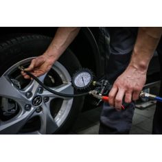 Pumping gun with pressure gauge 12 bar 2