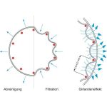 Tīra gaisa putekļu nosūcējs  RLA 1601 P