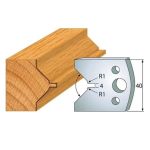 Profilnazis profils №.072-2gab. 40x4 mm SP