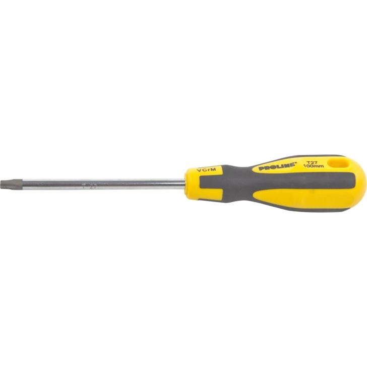 Screwdriver T27x100mm