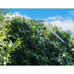 Garden care set Zipper ZI-GPS252