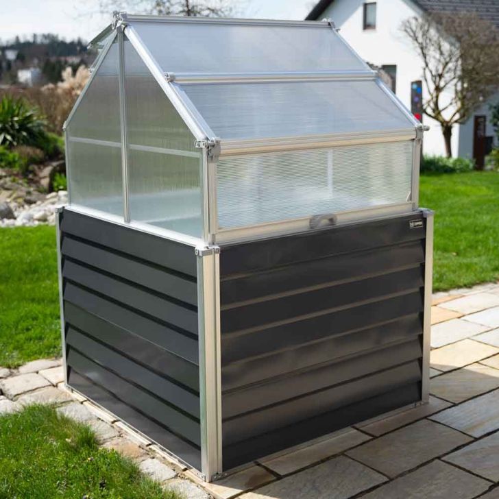 Балконное цветочное растение Zipper ZI-BGWH169