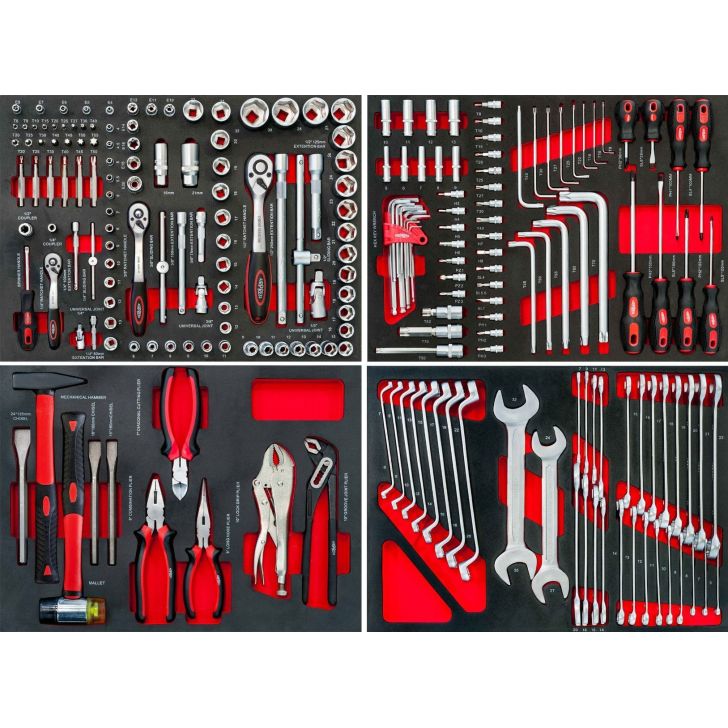 Mobile tool cabinet with 217 tools.