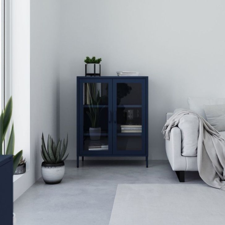 Neliels viesistabas vitrīna GINA, 800 x 1015 x 400 mm, moderns: tumši zils