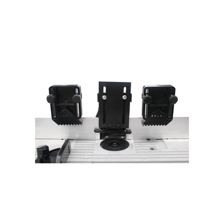 Фрезерный станок для концевых фрез Holzstar TF 50 E