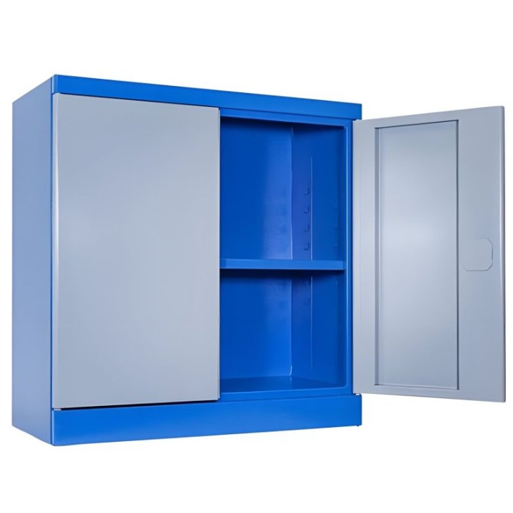 Darbnīcas skapis TYP B1