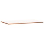 Darba virsma ar PE plāksni