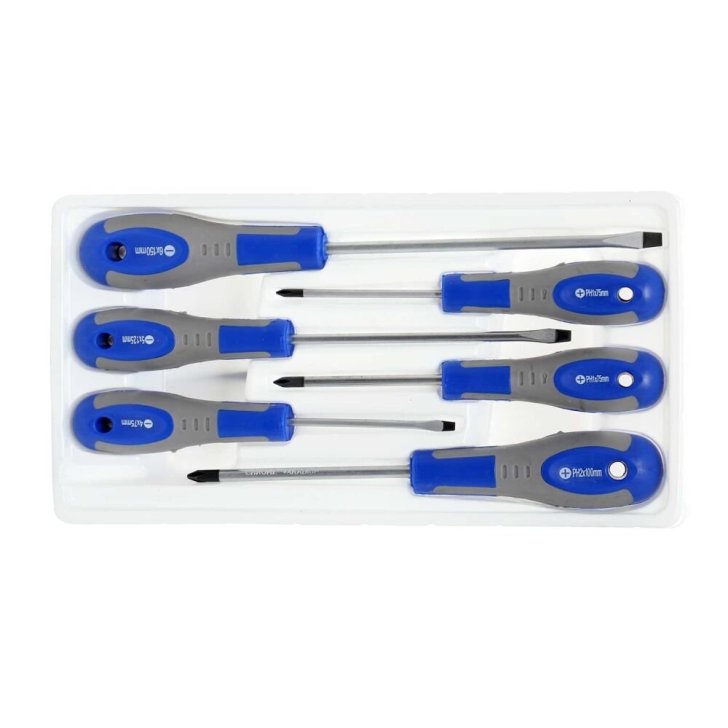 Skrūvgrieži ar magnētiskiem uzgaļiem, 6 gabalu komplekts